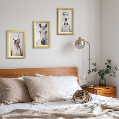 Tavelvägg med 3 tavlor Intressanta porträtt av hundar och hästar i elegant stil