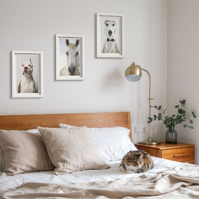 Tavelvägg med 3 tavlor Intressanta porträtt av hundar och hästar i elegant stil