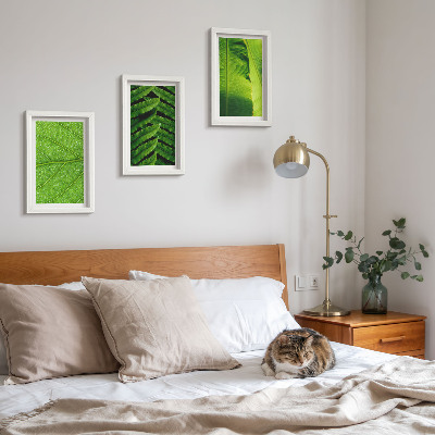 Posterpaket Närbilder av tropiska löv