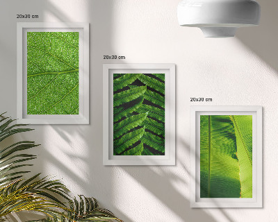 Posterpaket Närbilder av tropiska löv