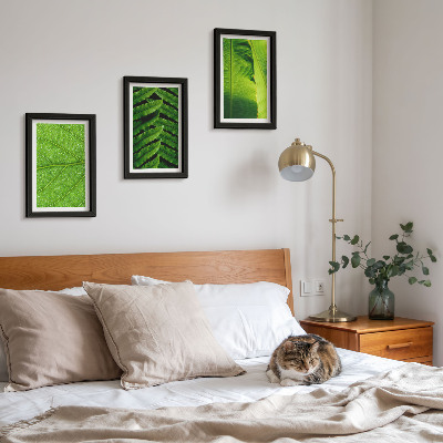Posterpaket Närbilder av tropiska löv