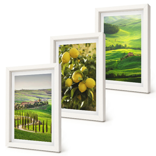 Posterpaket Italienska landskap med citrusträd och gröna kullar