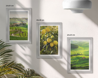 Posterpaket Italienska landskap med citrusträd och gröna kullar