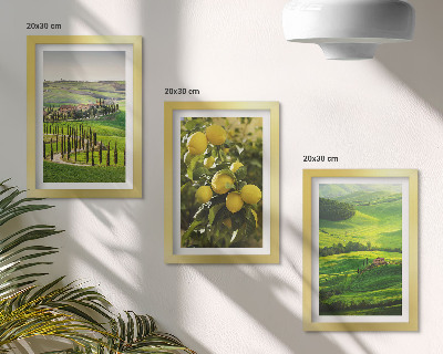 Posterpaket Italienska landskap med citrusträd och gröna kullar