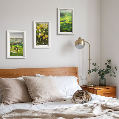 Posterpaket Italienska landskap med citrusträd och gröna kullar