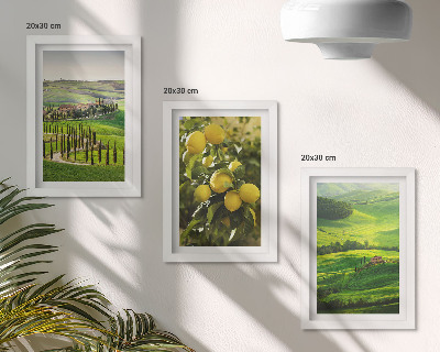 Posterpaket Italienska landskap med citrusträd och gröna kullar