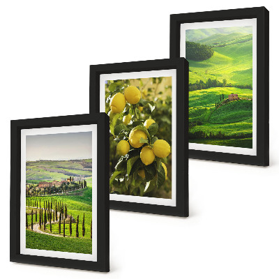 Posterpaket Italienska landskap med citrusträd och gröna kullar