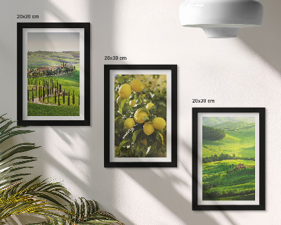Posterpaket Italienska landskap med citrusträd och gröna kullar