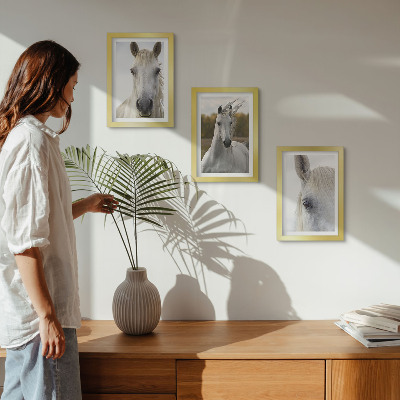 Tavelvägg med 3 tavlor Vita hästar i olika poser mot en naturlig bakgrund