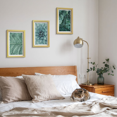 Posterpaket Närbilder av suckulenta växter och blad
