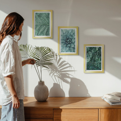 Posterpaket Närbilder av suckulenta växter och blad