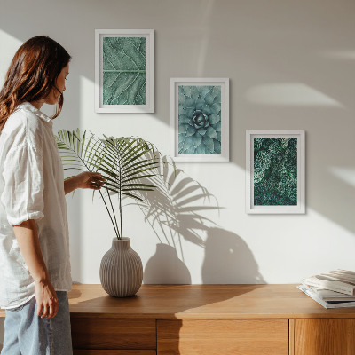 Posterpaket Närbilder av suckulenta växter och blad