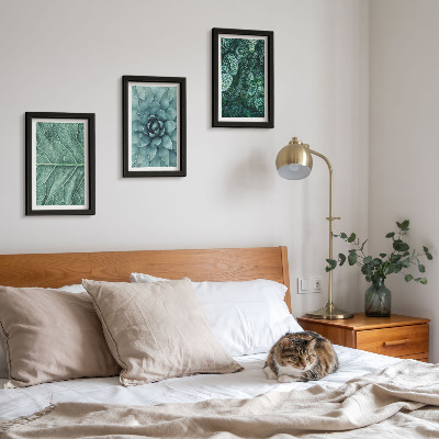 Posterpaket Närbilder av suckulenta växter och blad