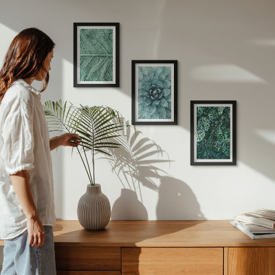 Posterpaket Närbilder av suckulenta växter och blad