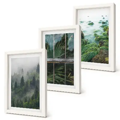Triptyk med ram motiv av skog i dimma, flodstrand och växthus med växter