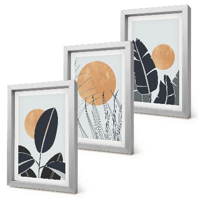 Tavelvägg med 3 tavlor Växtmönster med stora solar, minimalistisk stil