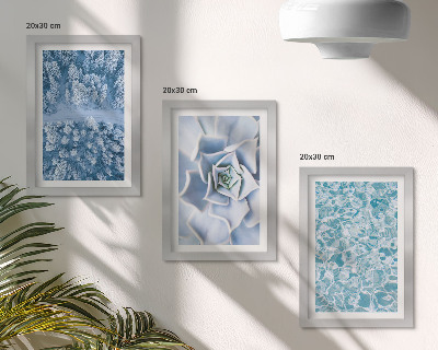 Posterpaket Vinterskog blå blomma blå vattenyta