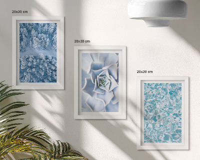 Posterpaket Vinterskog blå blomma blå vattenyta
