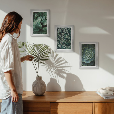 Posterpaket Gröna bladväxter och eleganta suckulenter