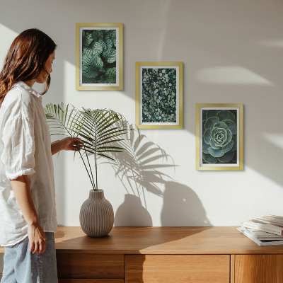 Posterpaket Gröna bladväxter och eleganta suckulenter
