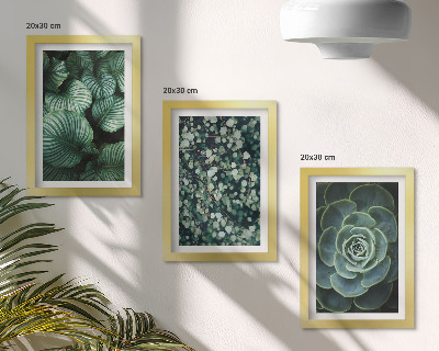 Posterpaket Gröna bladväxter och eleganta suckulenter