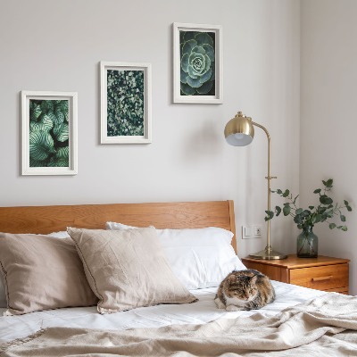 Posterpaket Gröna bladväxter och eleganta suckulenter