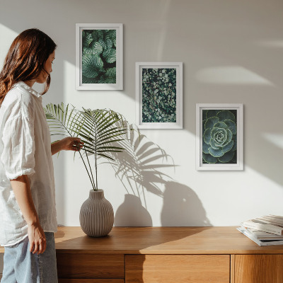 Posterpaket Gröna bladväxter och eleganta suckulenter