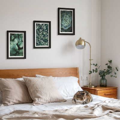 Posterpaket Gröna bladväxter och eleganta suckulenter