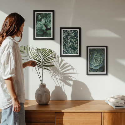 Posterpaket Gröna bladväxter och eleganta suckulenter
