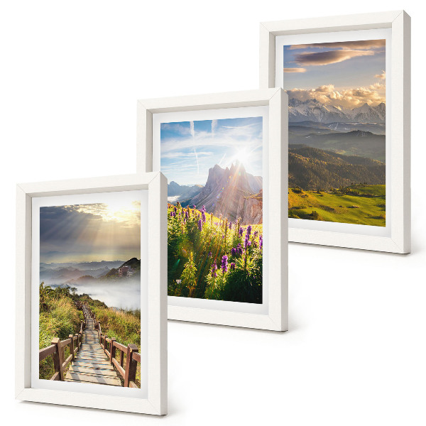 Posterpaket Berglandskap med blommor, himmel och stig