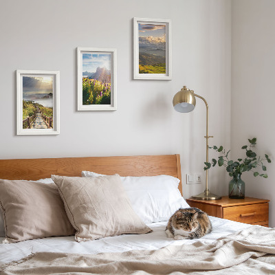 Posterpaket Berglandskap med blommor, himmel och stig