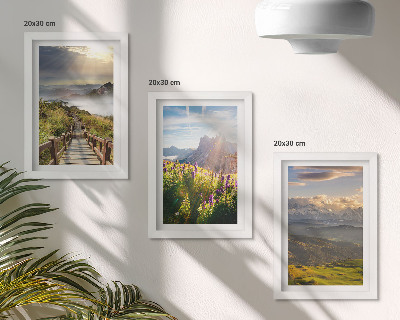 Posterpaket Berglandskap med blommor, himmel och stig