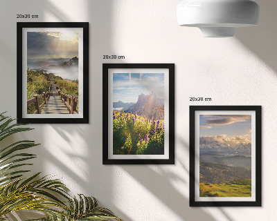 Posterpaket Berglandskap med blommor, himmel och stig