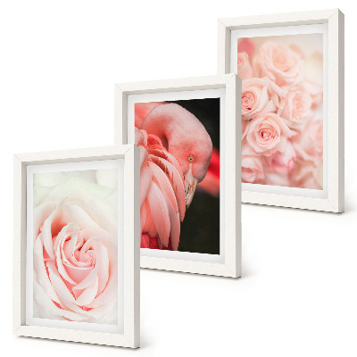 Posterpaket Pastellrosa och flamingo i delikata nyanser