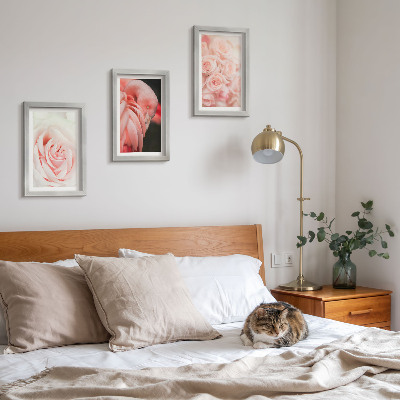 Posterpaket Pastellrosa och flamingo i delikata nyanser
