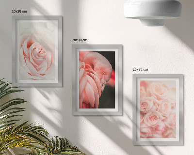 Posterpaket Pastellrosa och flamingo i delikata nyanser