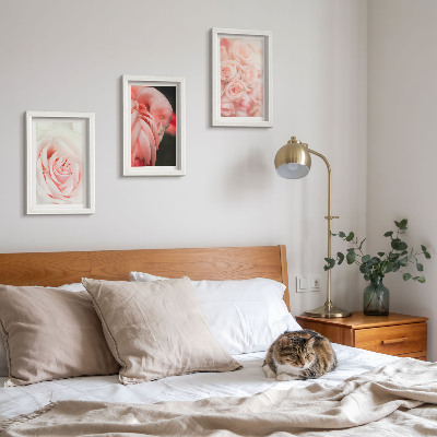 Posterpaket Pastellrosa och flamingo i delikata nyanser