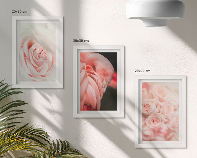 Posterpaket Pastellrosa och flamingo i delikata nyanser