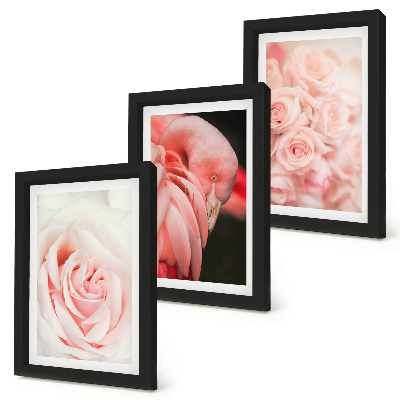 Posterpaket Pastellrosa och flamingo i delikata nyanser