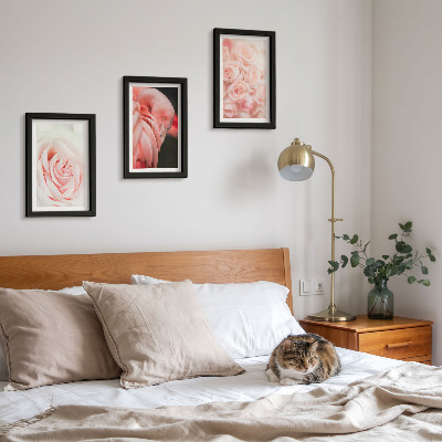 Posterpaket Pastellrosa och flamingo i delikata nyanser