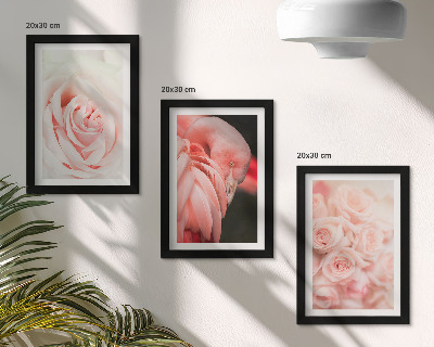 Posterpaket Pastellrosa och flamingo i delikata nyanser