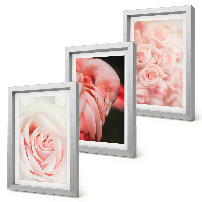 Posterpaket Pastellrosa och flamingo i delikata nyanser