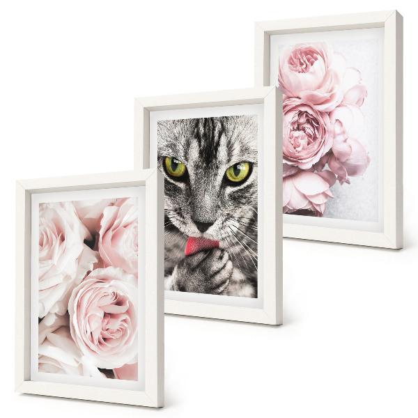 Tavelvägg med 3 tavlor En katt bland rosa blommor av rosor och pioner