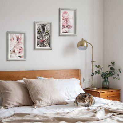 Tavelvägg med 3 tavlor En katt bland rosa blommor av rosor och pioner