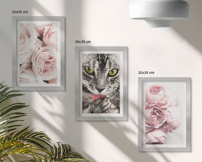 Tavelvägg med 3 tavlor En katt bland rosa blommor av rosor och pioner