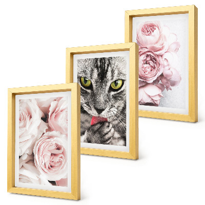 Tavelvägg med 3 tavlor En katt bland rosa blommor av rosor och pioner
