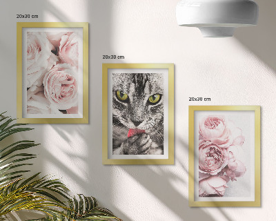 Tavelvägg med 3 tavlor En katt bland rosa blommor av rosor och pioner