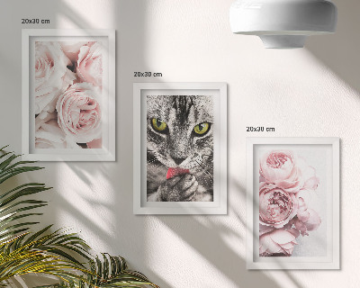 Tavelvägg med 3 tavlor En katt bland rosa blommor av rosor och pioner