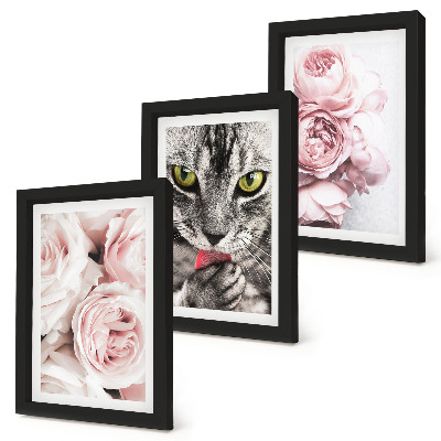 Tavelvägg med 3 tavlor En katt bland rosa blommor av rosor och pioner