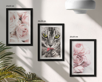 Tavelvägg med 3 tavlor En katt bland rosa blommor av rosor och pioner